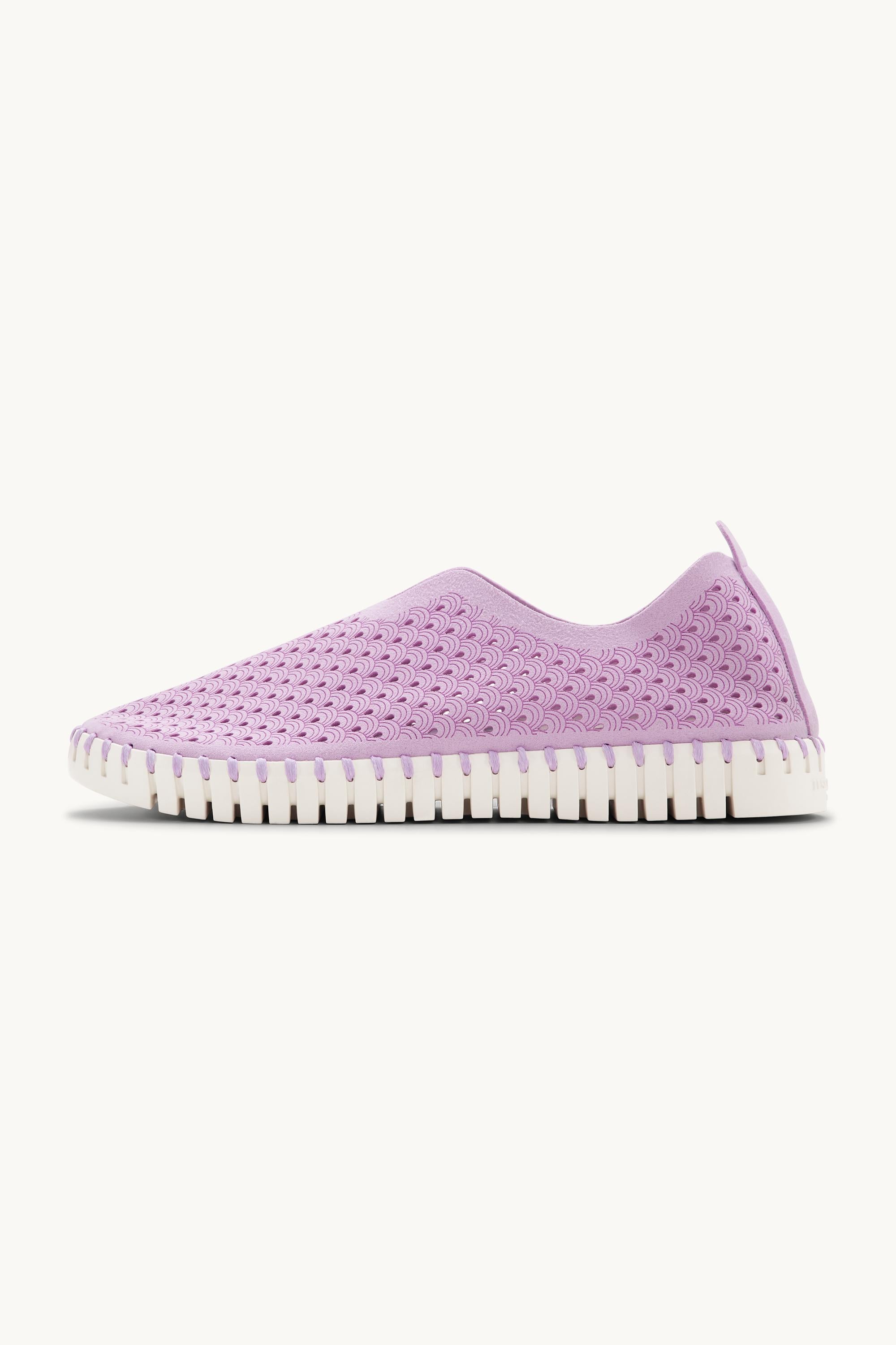 Tulip Flats - Bubble