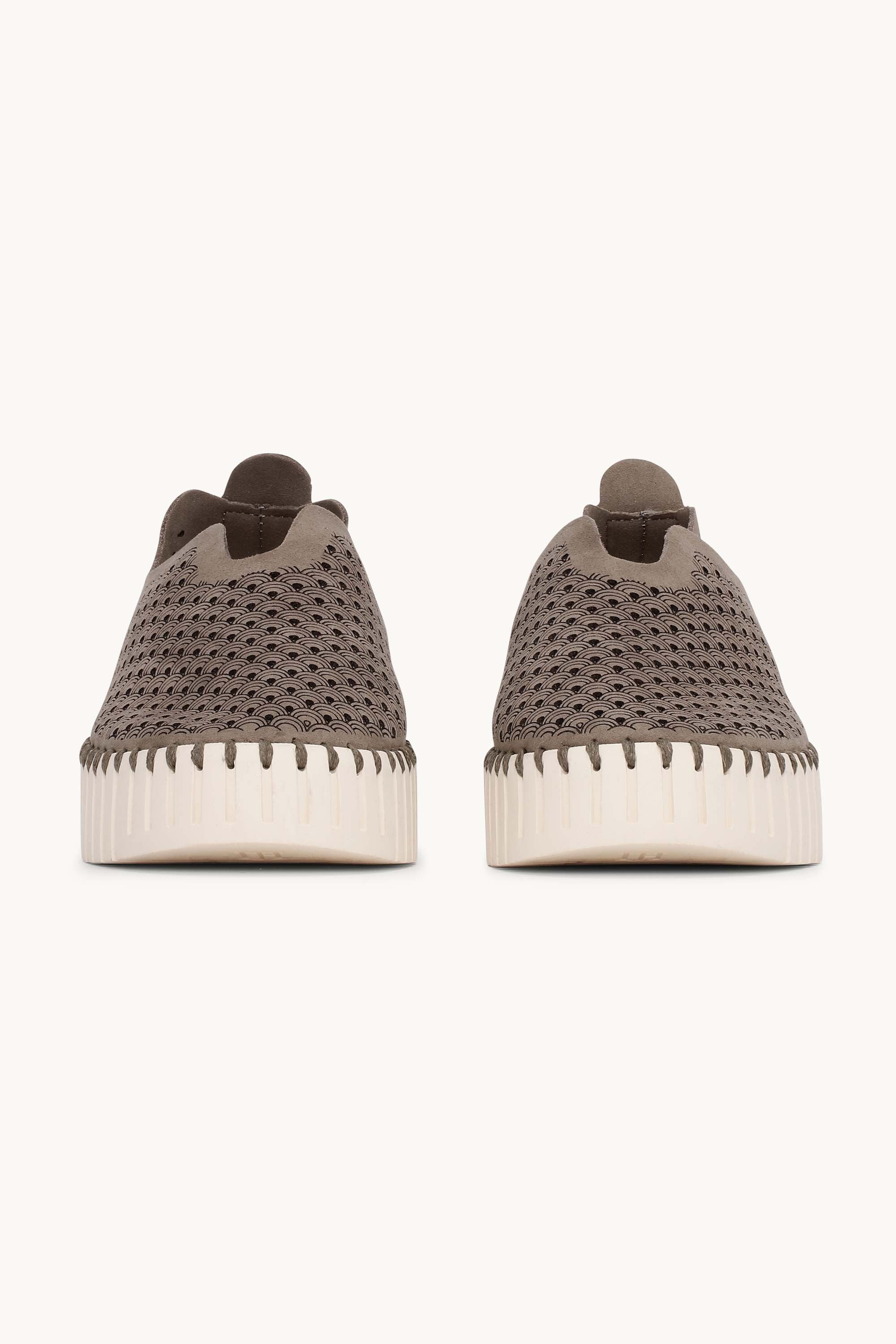 Platform Tulip Flats - Falcon