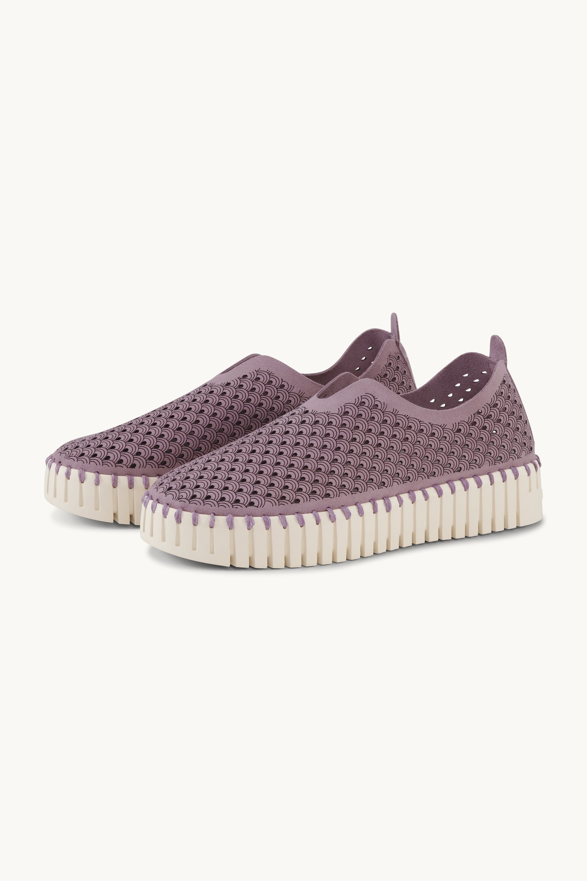 Tulip Chaussures Plateforme - Mauve Shadows