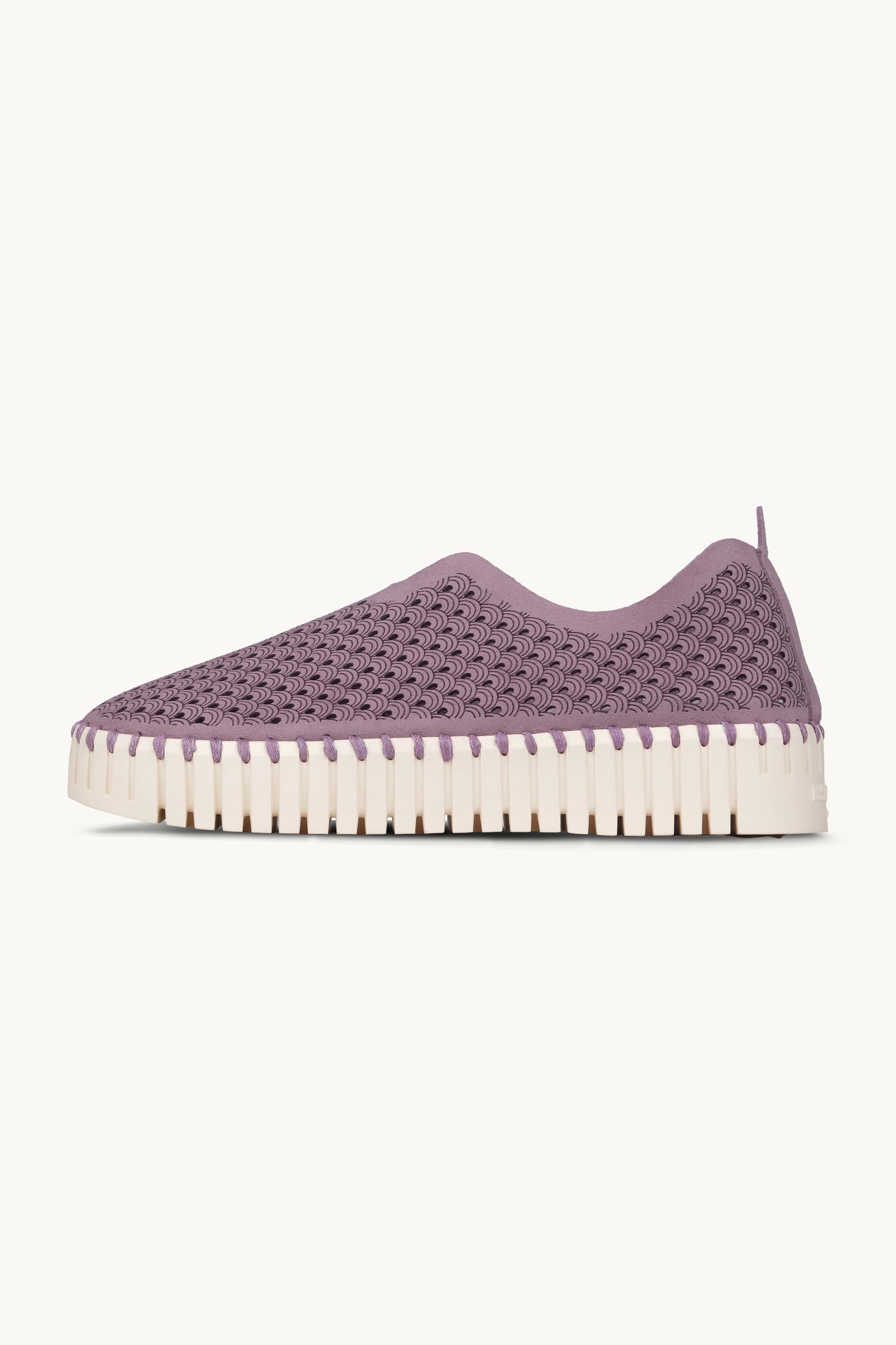 Tulip Chaussures Plateforme - Mauve Shadows
