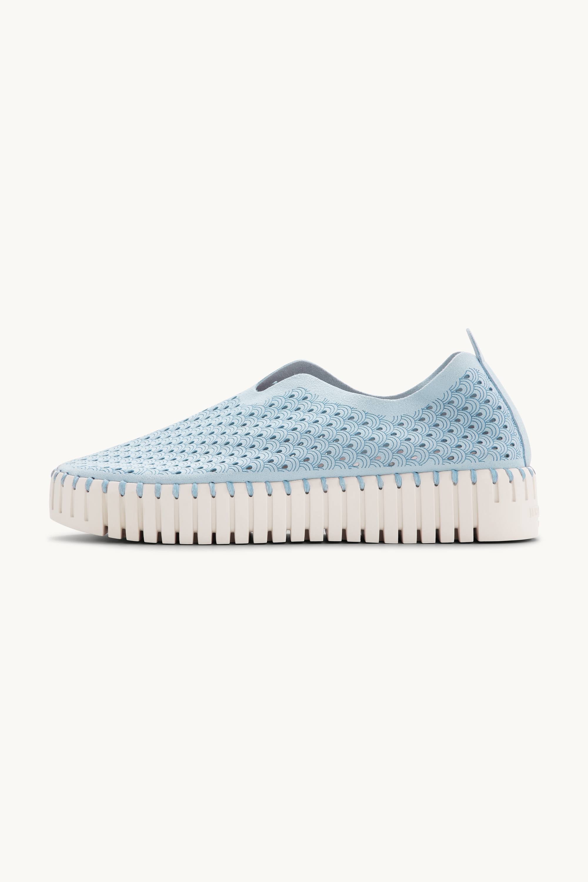 Tulip Chaussures Plateforme - Ash Blue