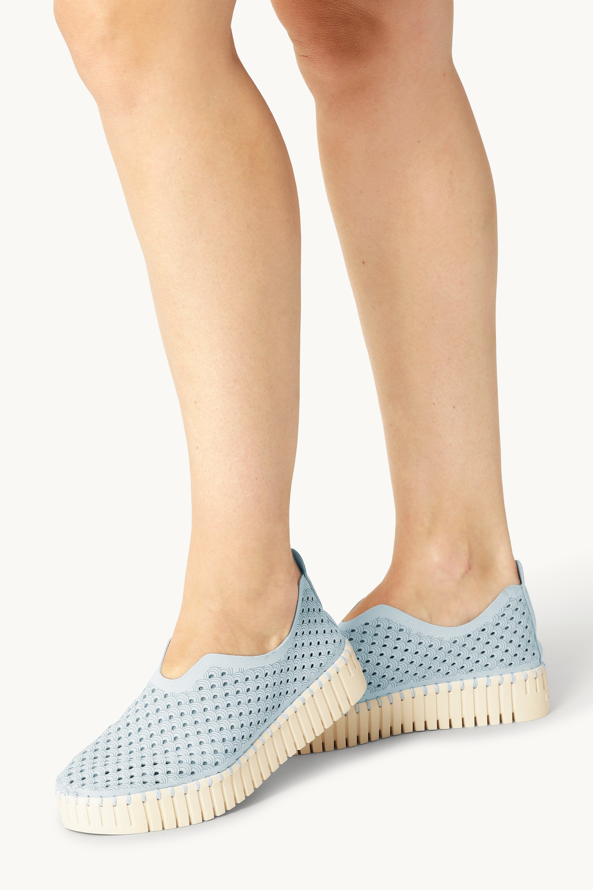 Tulip Chaussures Plateforme - Ash Blue
