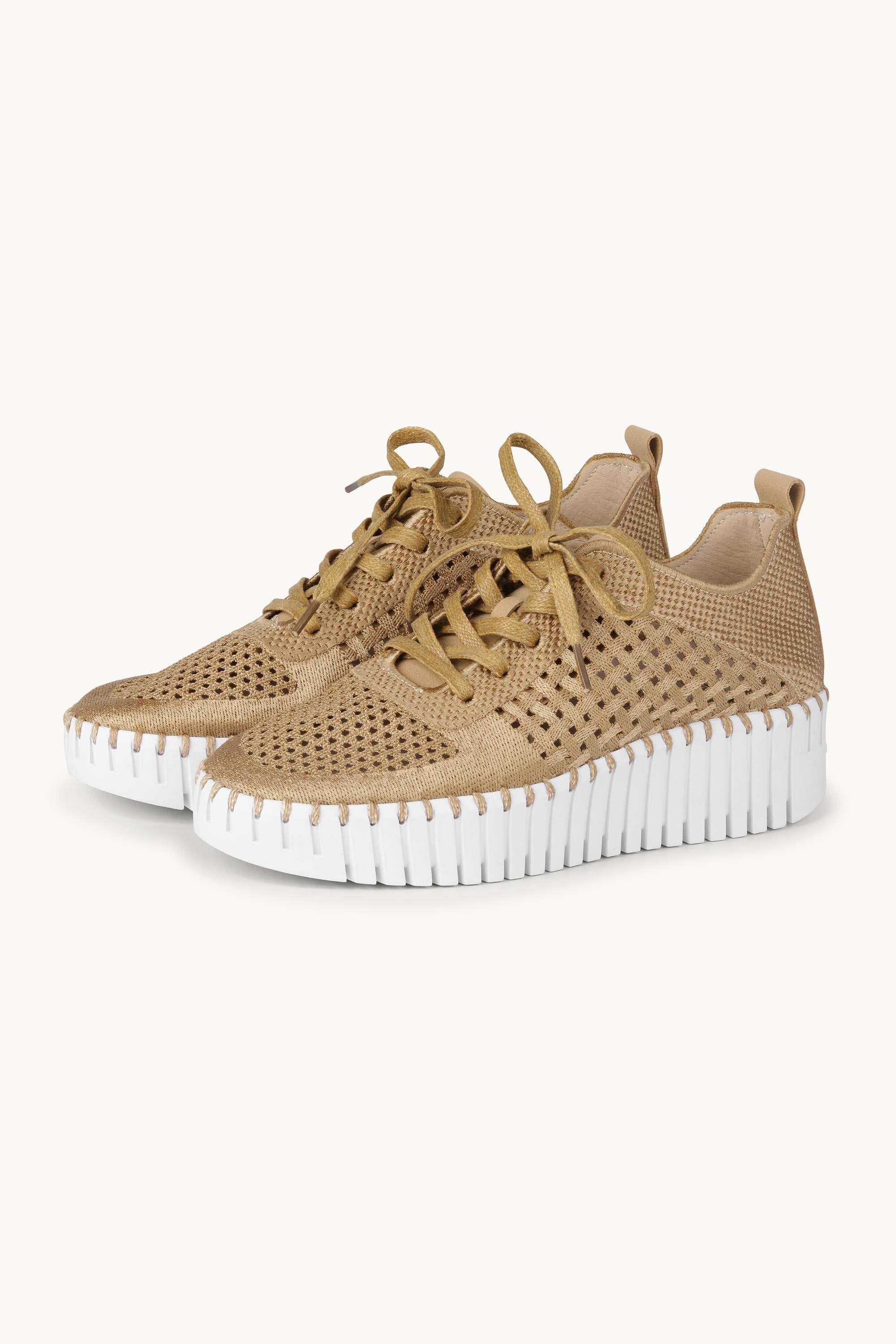 Tulip Chaussures À Lacets - Latte White