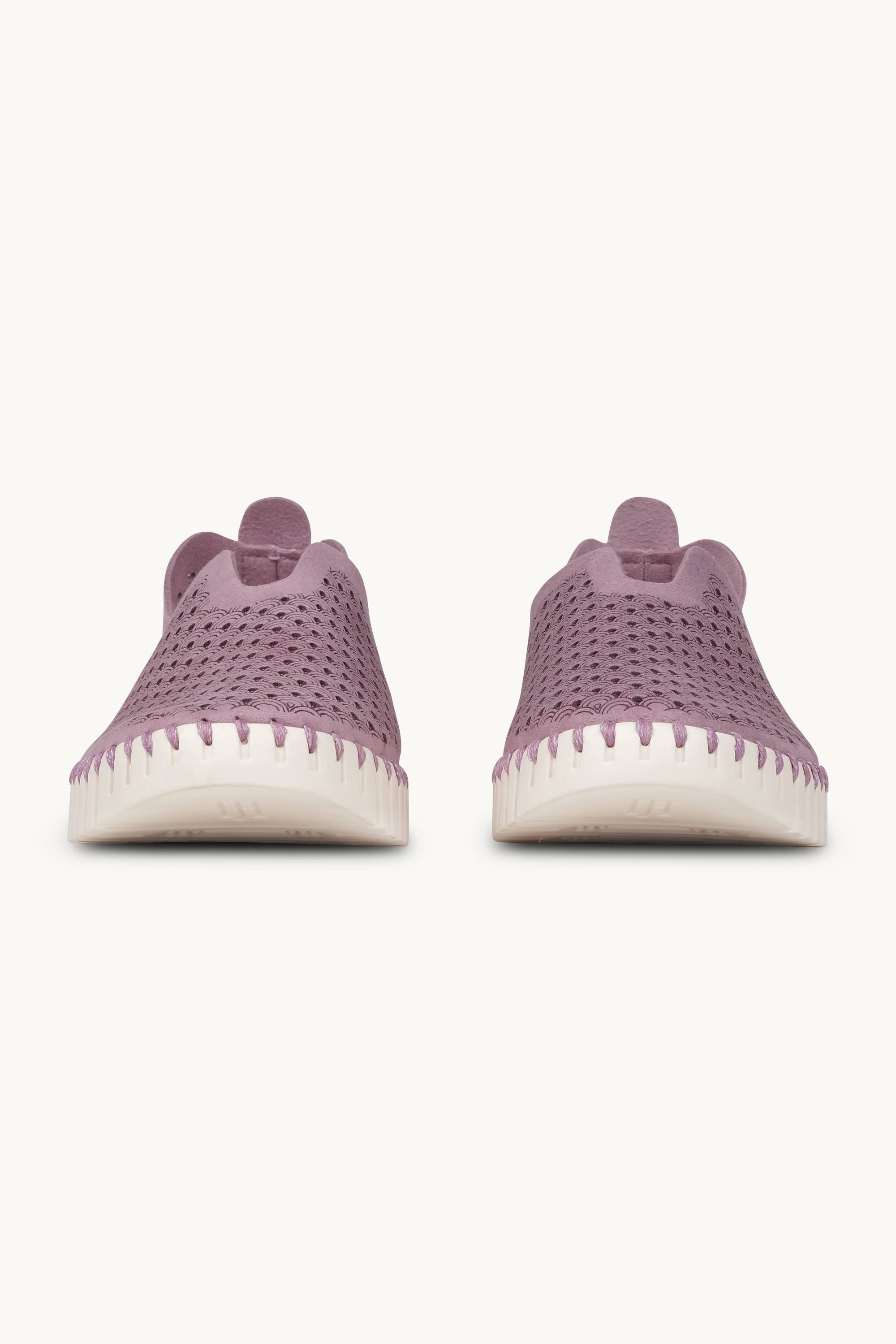 Tulip Flats - Mauve Shadows