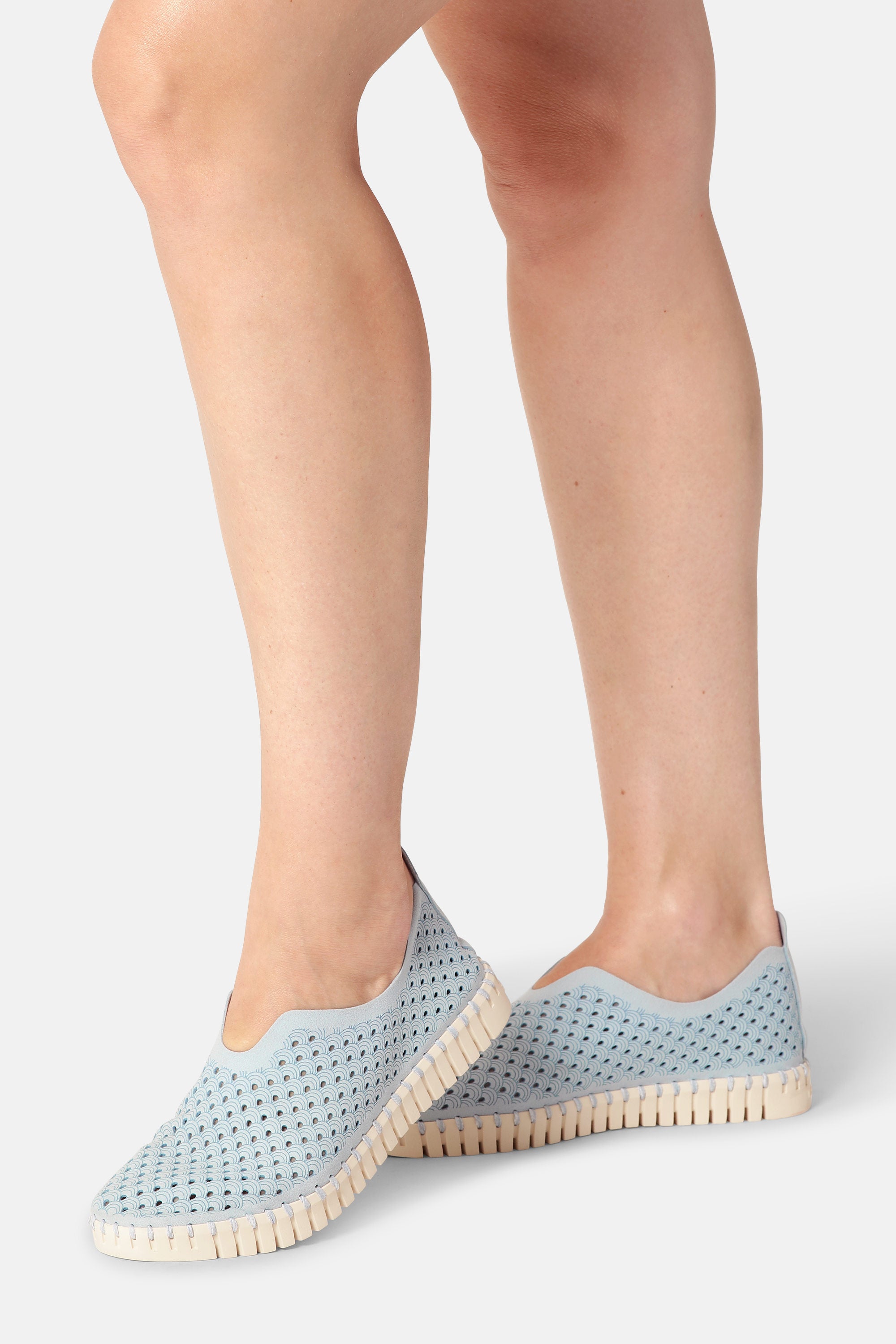 Tulip Flats - Ash Blue