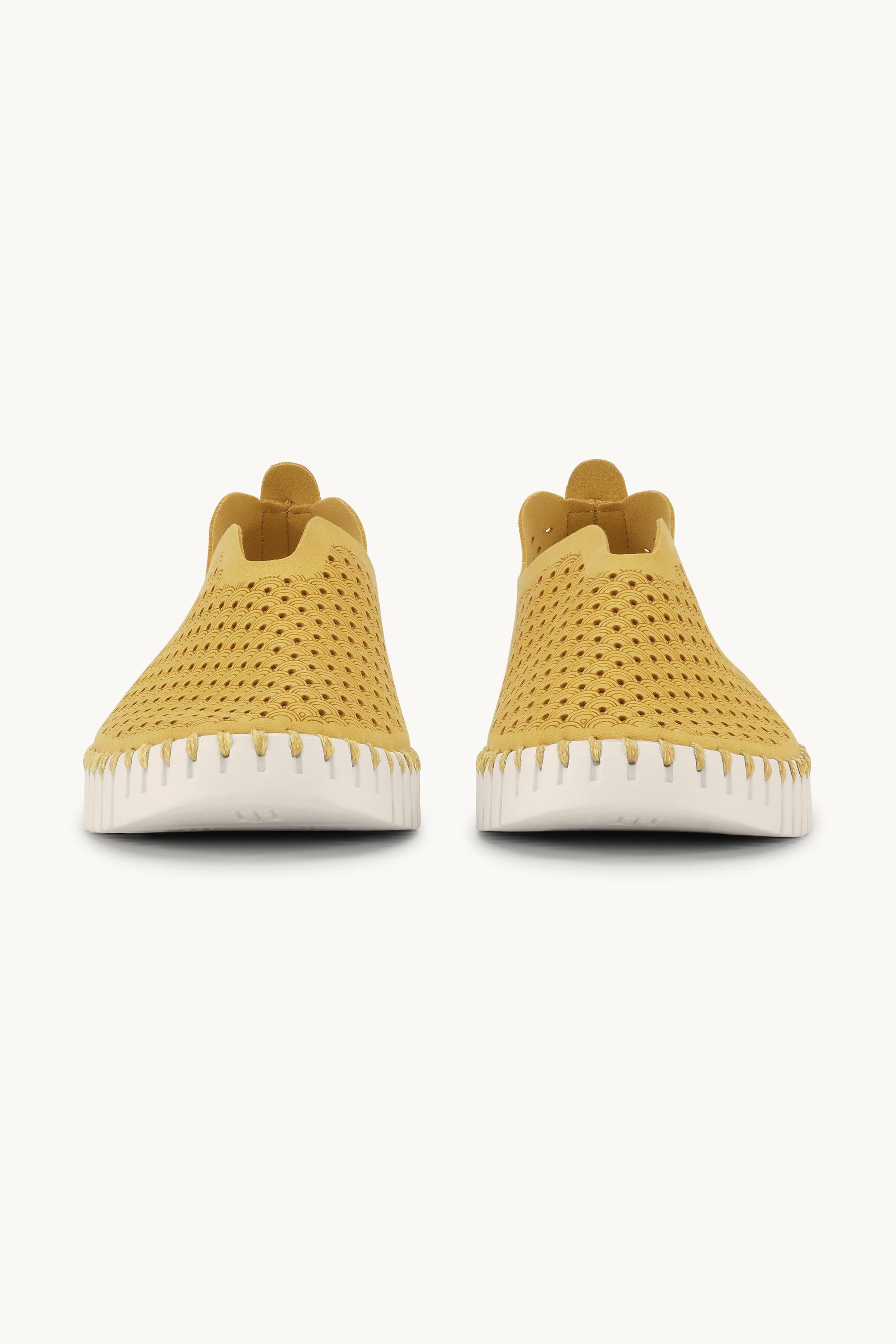 Tulip Flats - Golden Rod