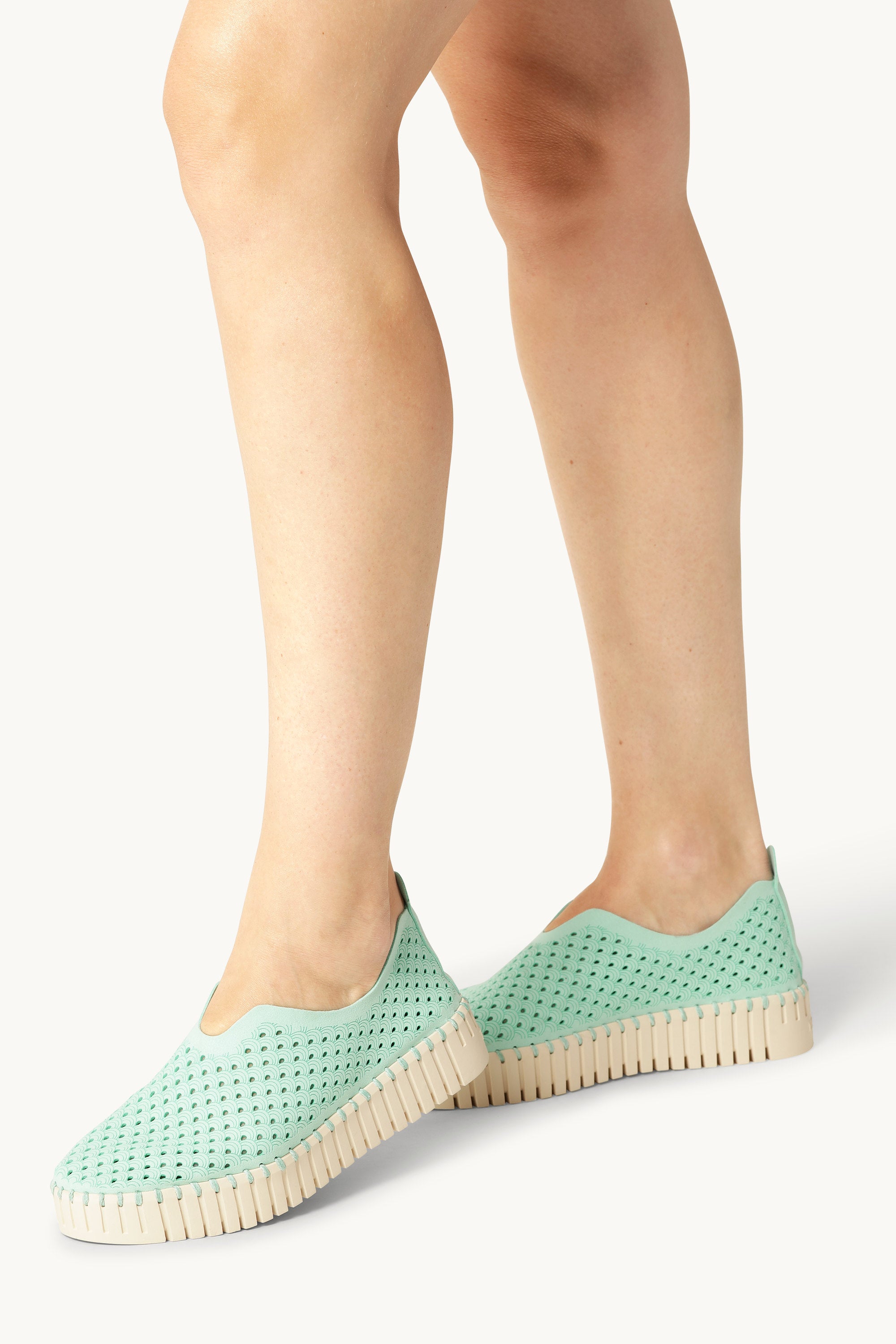 Platform Tulip Flats - Yucca