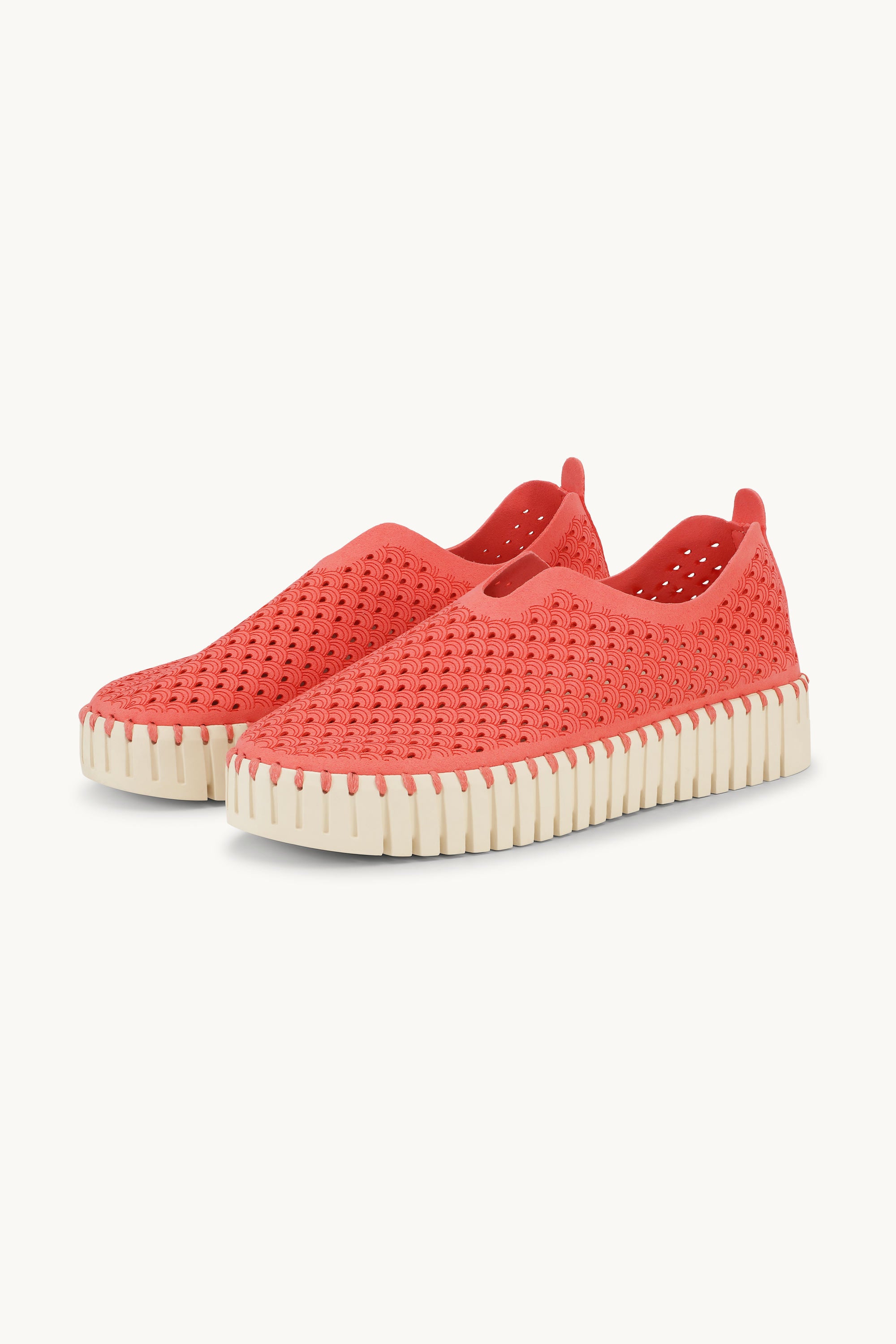 Tulip Chaussures Plateforme - Raspberry