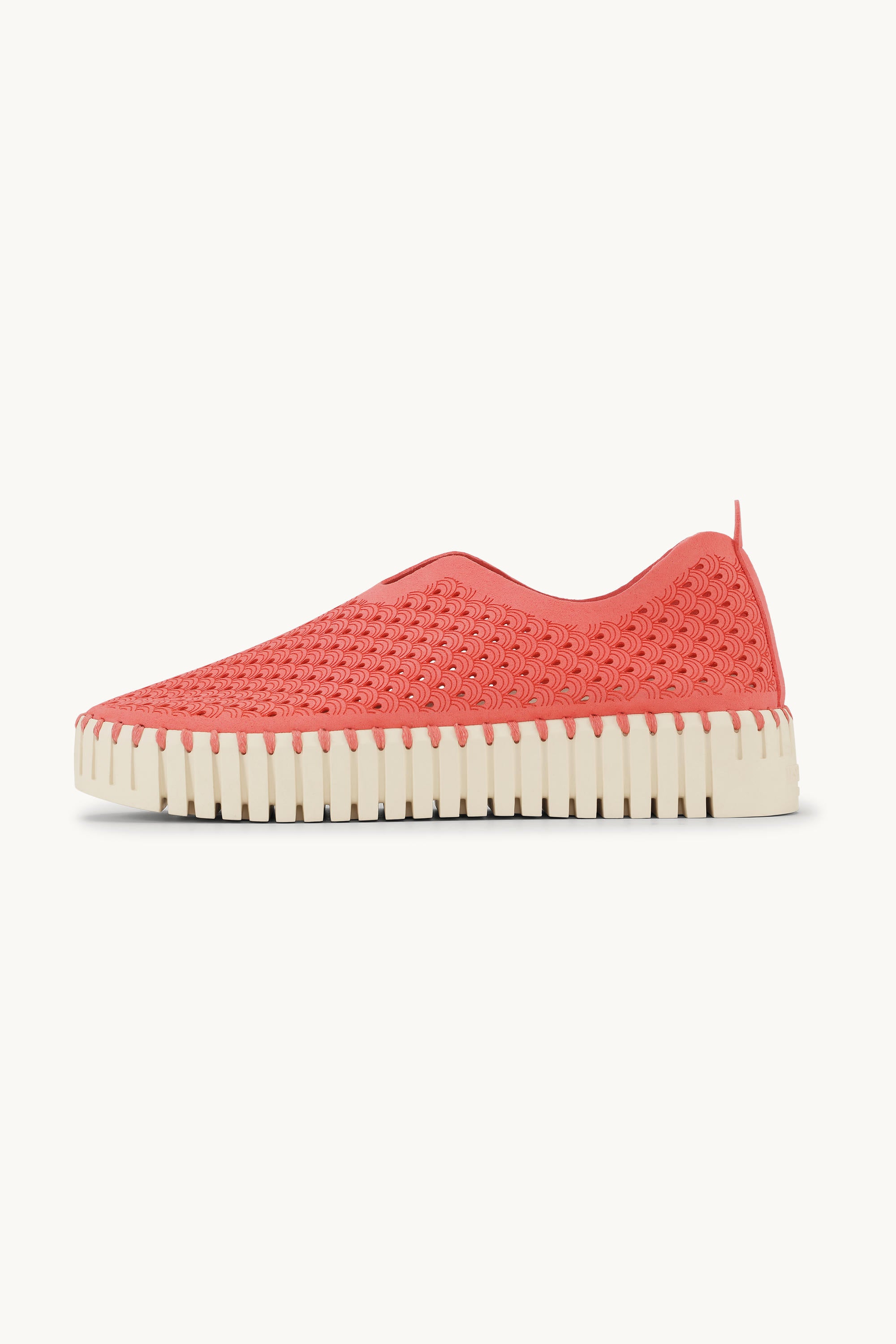 Tulip Chaussures Plateforme - Raspberry
