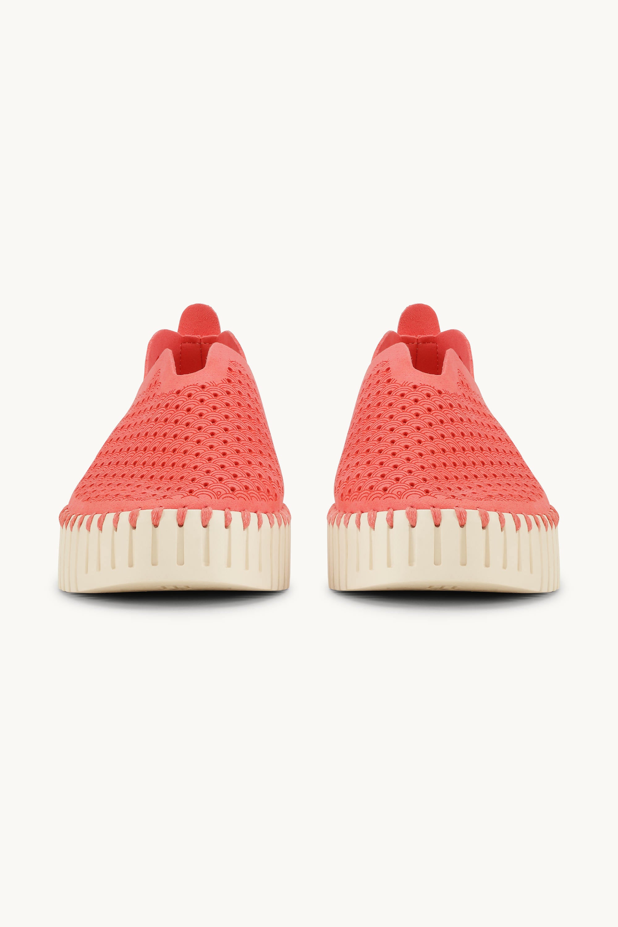 Tulip Chaussures Plateforme - Raspberry