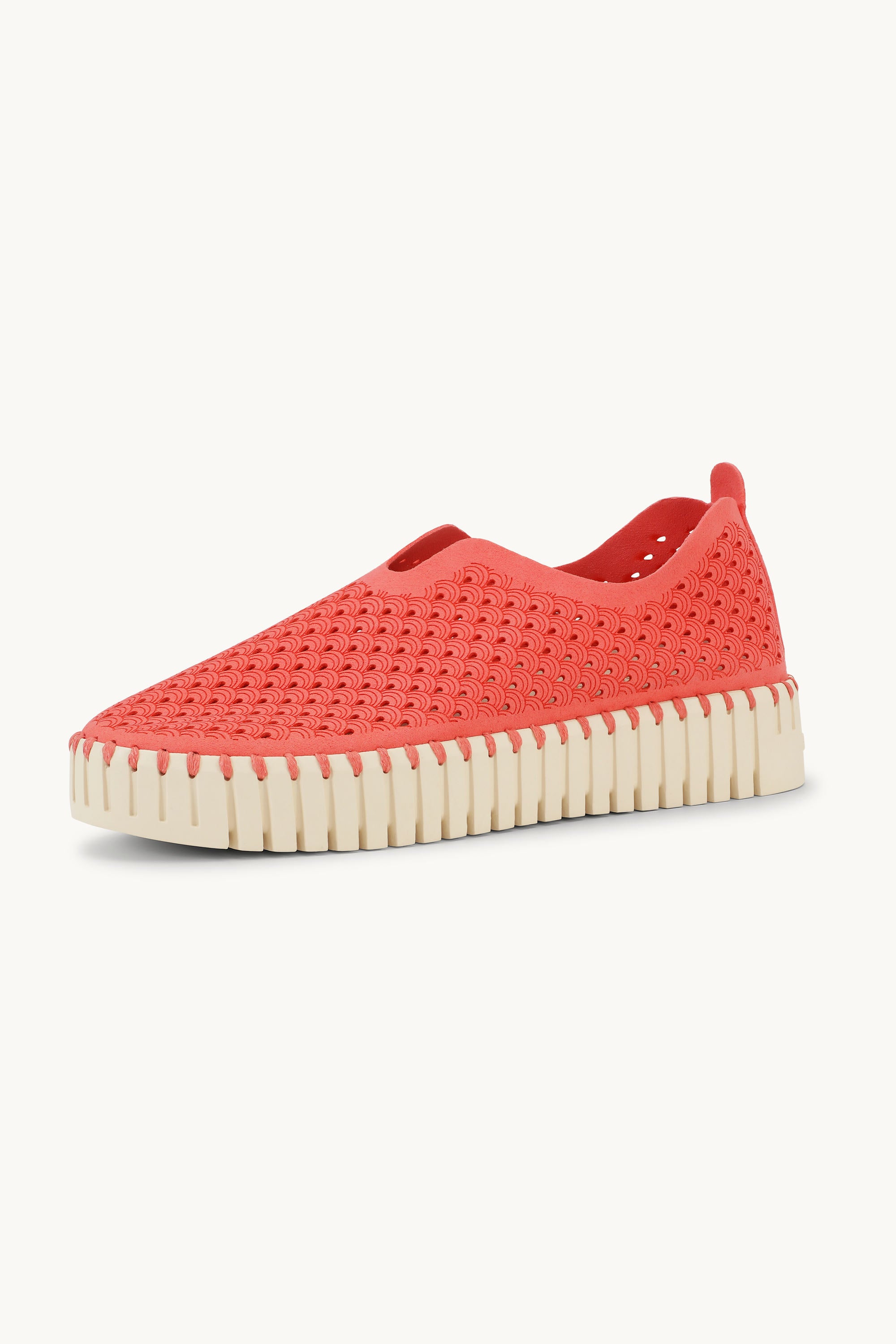 Tulip Chaussures Plateforme - Raspberry