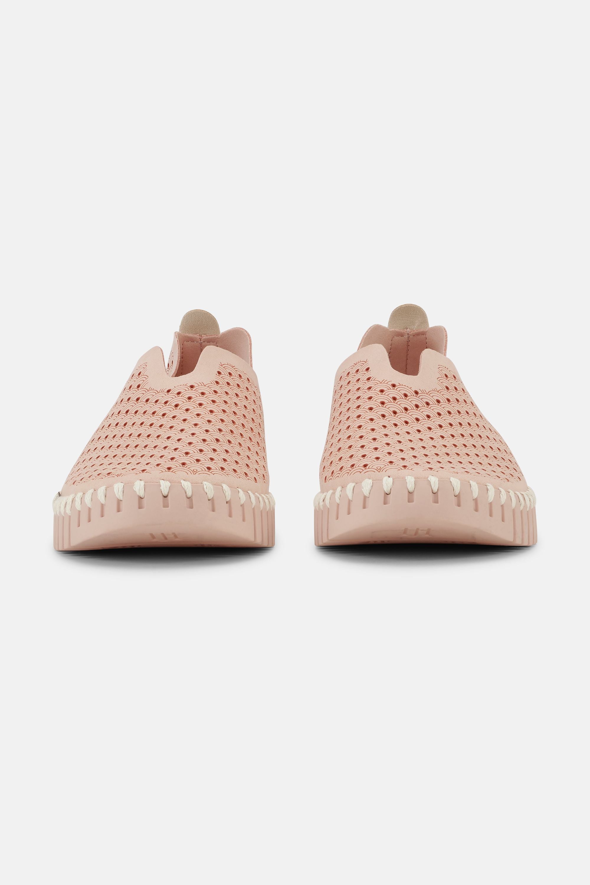 Tulip Flats - Adobe Rose Adobe Rose