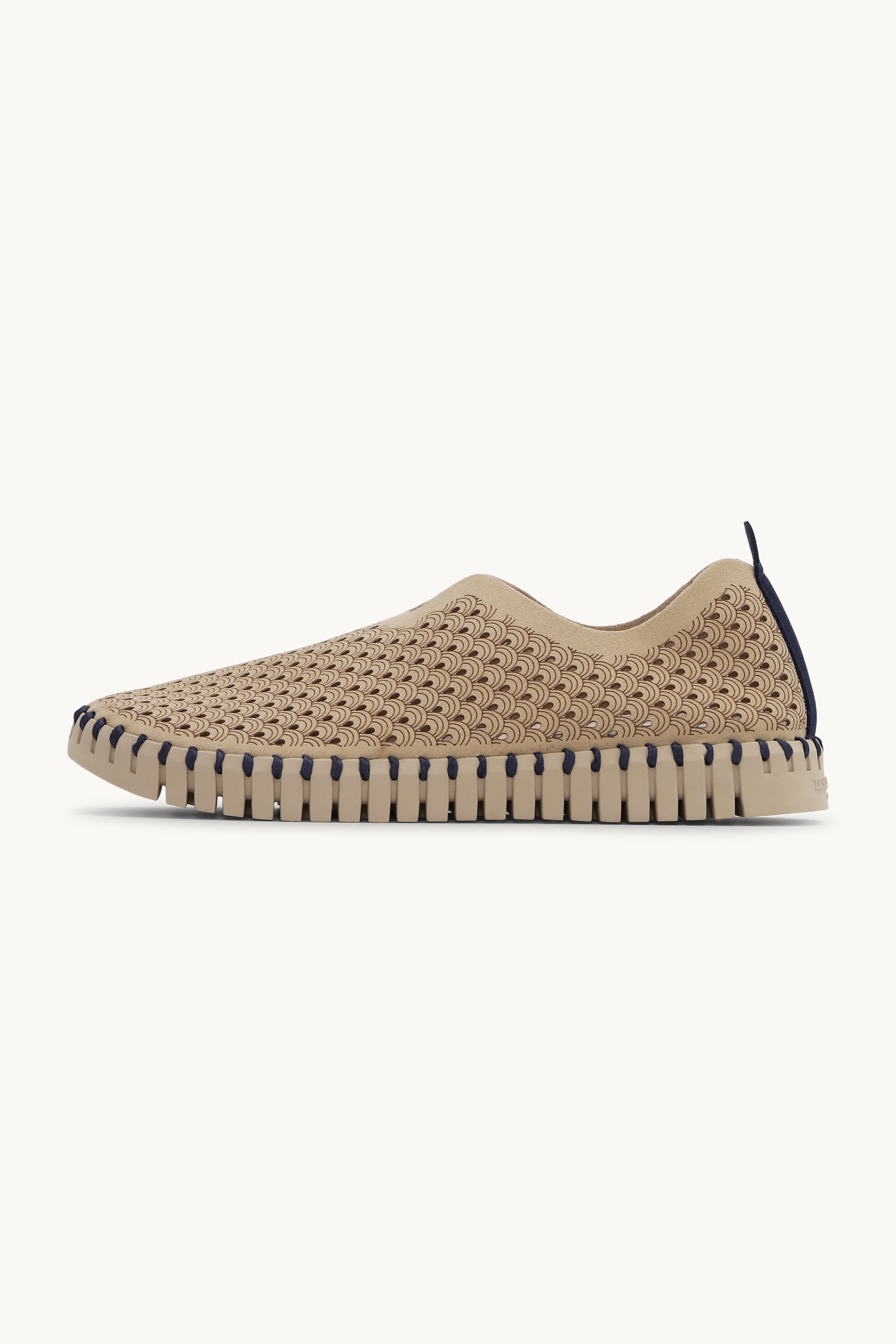 Tulip Chaussures - Coriander Coriander