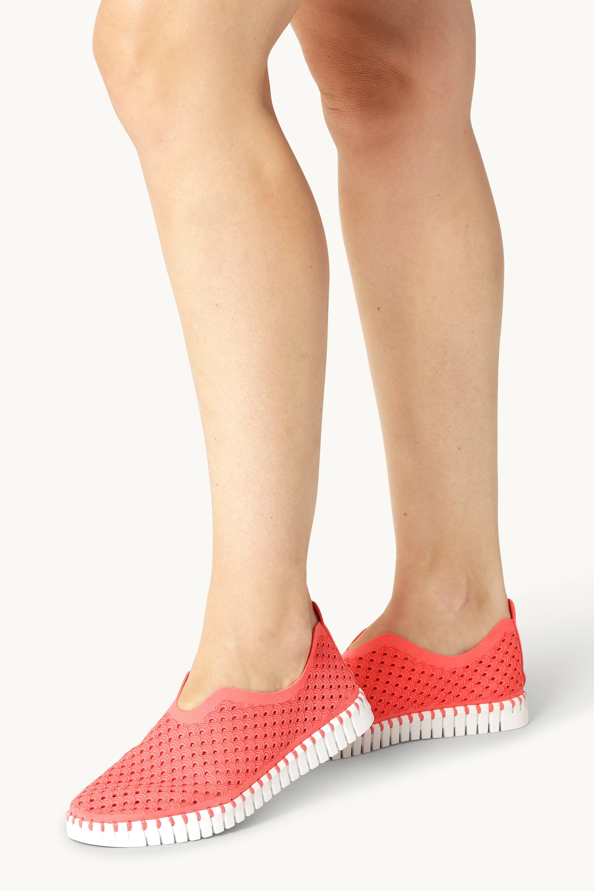 Tulip Flats - Raspberry White